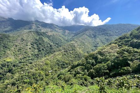 Full Day Private Sierra Nevada Tour with Transport