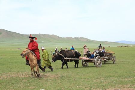 Private - Mongol Nomadic Show & Khustai National Park Day Trip