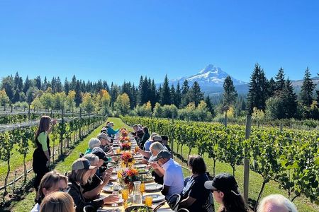 Mt Hood Waterfall Tour with Lunch and Wine Tasting