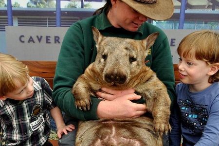 Private Perth Day Tour: Wildlife Park, Fremantle and Kings Park