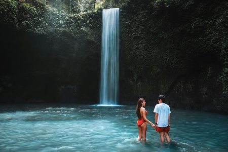 Bali Waterfalls and Monkey River Private Day Tour