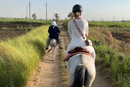 Private Horse ride Adventure in Luxor with professional guide