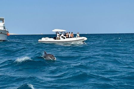 Private Speedboat – Snorkeling & Dolphin Watching & Abu Monkar