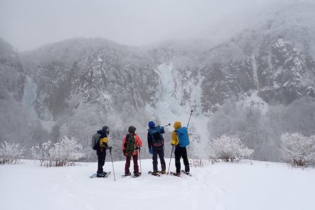 Private Snow Monkey & Frozen Waterfall — Nagano Winter Tour