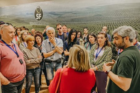 The Olive Oil Journey: Grove and Mill Visit