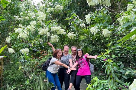 Cu Chi Tunnels History & Mekong Delta Culture, River Cruise Tour