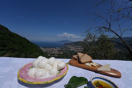 Farm Tour in Sorrento: Olive Oil, Lemons & Mozzarella Tasting