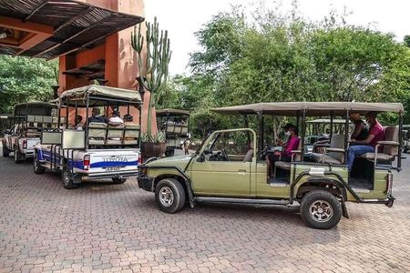 Game Drive and Short Rhino Walking Safari 