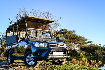 Kruger National Park Wildlife Safari with Private Guide