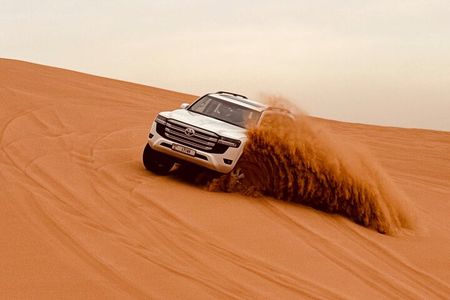 Dubai Sunrise Desert Safari Red Dune Camel Falcon & Sandboarding
