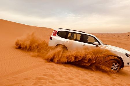 Dubai Morning Desert Safari Red Dune Camel Falcon & Sandboarding