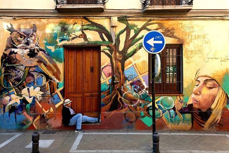 Granada: "Street Art & The Caves" Exceptional Guided Walking Tour