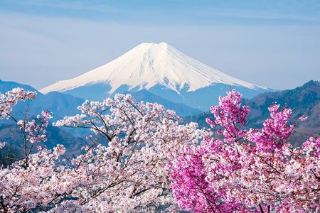 Tokyo: Mt. Fuji 5th Station Oshino Hakkai, Outlet& HotSpring Trip