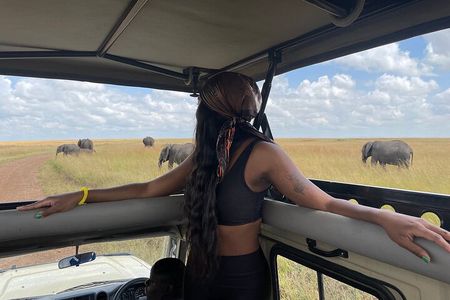 Day Trip to Amboseli National Park and Masai Village from Nairobi
