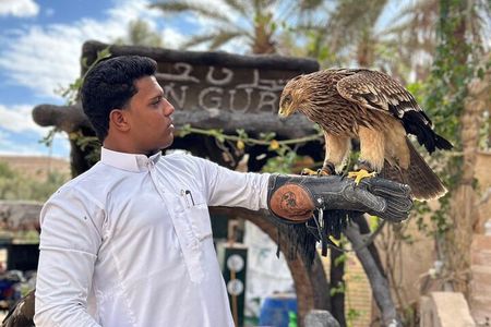 2 or 3 Days Siwa Oasis Experience( Private) (all inclusive)