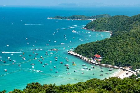 Pattaya Koh Larn Island and Truth Sanctuary Day Tour