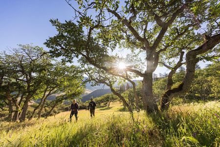 Walking safari & game drive Day trip in Arusha National park