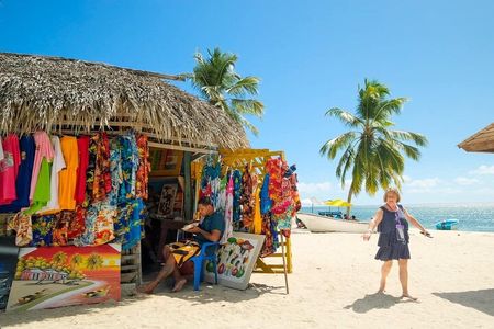Saona VIP 3 Beaches, Natural Pool & Mano Juan Turtle Sanctuary 