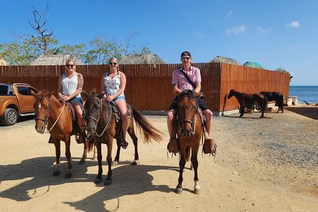 Horseback Ride ATV Ride Zipline Adventures 