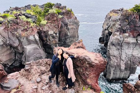 Ultimate View Izu Car Tour with Hotel Pickup and Local Guide