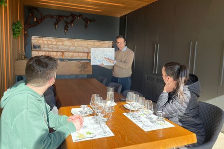 Half Day Prosecco and Cheese Tasting from Venice