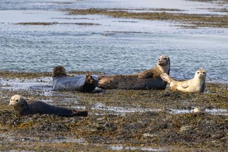 East side Dander, an Evening tour of mainland Orkney