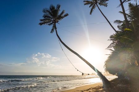 Southern Sri Lanka Day tour from Hambantota