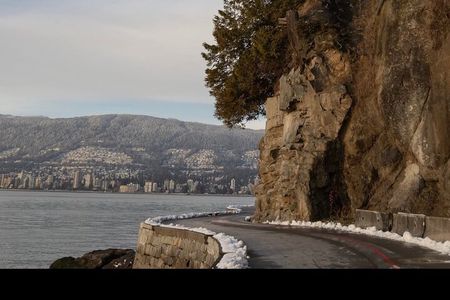 Explore Stanley Park on Electric Scooters