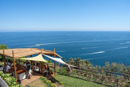 Hands-On Pizza Making Class & Farmhouse Tour with Sea Views 