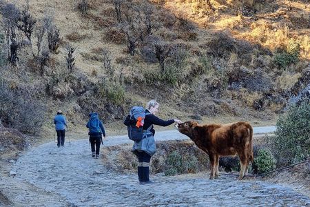Mystic Darjeeling to Tonglu Day Trek