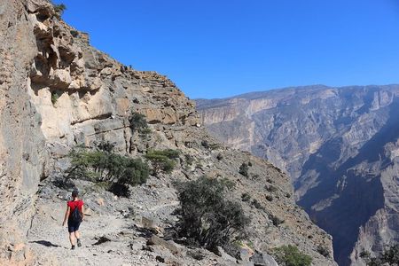 Private Full Day Trekking In the Grand Canyon (Balcony Walk) 