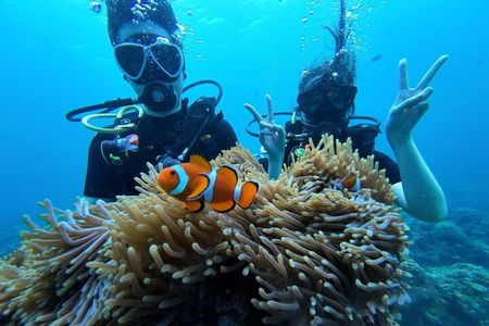  Boracay PADI Discover Scuba Diving