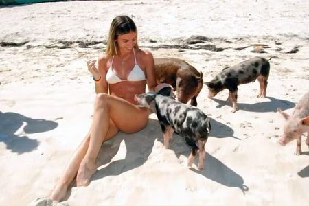 Paradise and Pigs Full Day Excursion from Puerto Plata with Lunch