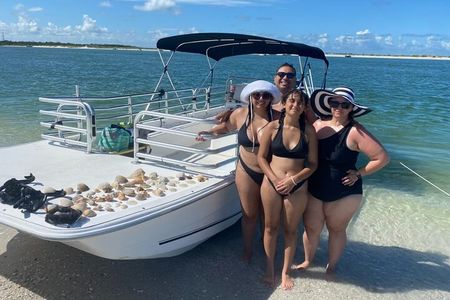 2.5 Hour Shell Key Island Adventure Including Dolphins And Shells