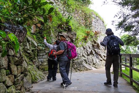Private Guided Tour to Machu Picchu from Aguas Calientes
