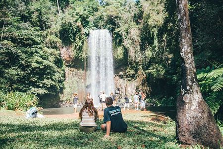 Cairns Adventure Package- 4 tours in 3 days!