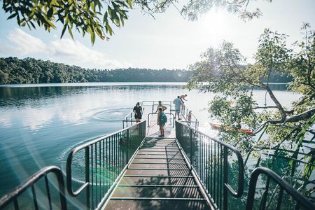 Cairns: All Inclusive Waterfalls and Rainforest Tour