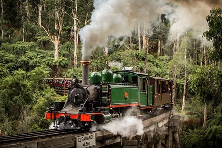 Puffing Billy Train and Phillip Island Penguin Parade Day Tour