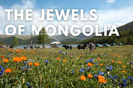 The Jewels Of Mongolia 