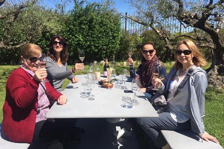 Montserrat,Vineyard, Wine Tasting Small Group Tour & Hotel Pickup