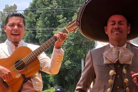 Frida´s World, Discover Coyoacan, Xochimilco and Her Legacy