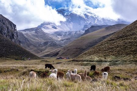 Between the Clouds A Journey to Chimborazo