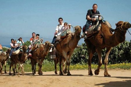 Comingl Caravan in Sousse