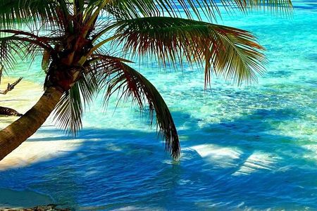 Punta Cana Catalina Island Catamaran Tour Package Deal