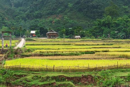 3-Day Private Authentic Tour of Mai Chau & Pu Luong from Hanoi