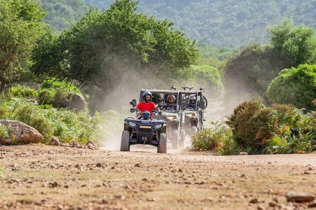 Italy Punta Salinas Shared Buggy Tour