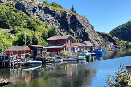 Explore St. John's Scenic Bus Tour to Cape Spear and Quidi Vidi