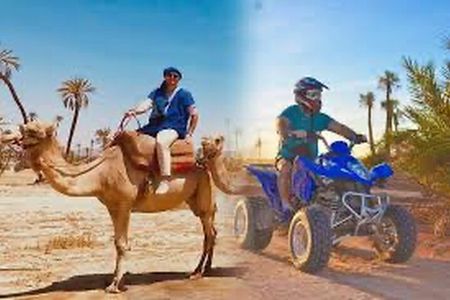Half day Quad and Camel Ride