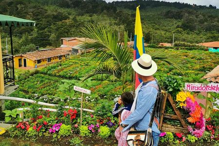 Flower Farm & Silletas Tour in Santa Elena Medellin 