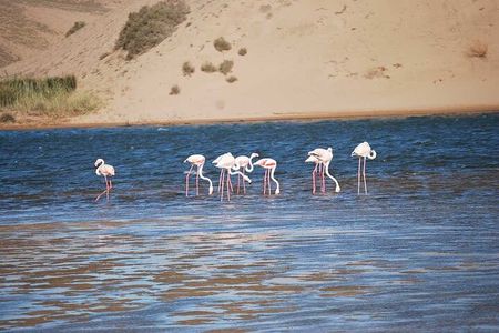 Souss Massa National Park Tour